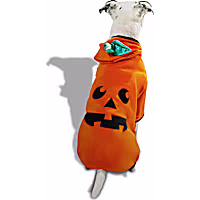 Petco Pumpkin Pet Hoodie