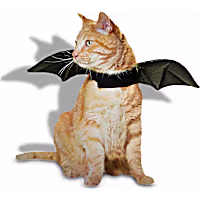 Petco Bat Wings Cat Halloween Costume