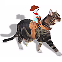 Petco Cowboy Cat Halloween Costume