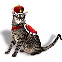 Petco King 2-Piece Cat Halloween Costume