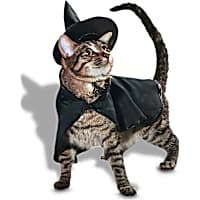 Petco Witch 2-Piece Cat Halloween Costume