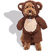 Petco Teddy Bear Illusion Pet Halloween Costume