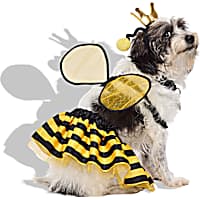 Petco Queen Bee 3-Piece Pet Halloween Costume