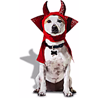 Petco Devil Pet Costume Headpiece