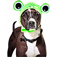 Petco Frog Pet Costume Headpiece