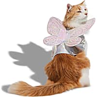 Petco Fairy Wings Cat Halloween Costume