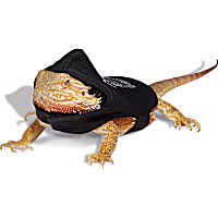 Petco Skeleton Bearded Dragon Pet Halloween Costume