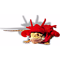 Petco Lobster Bearded Dragon Pet Halloween Costume