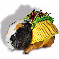 Petco Halloween Taco Small Animal Costume
