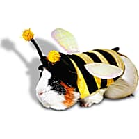 Petco Bumblebee Small Animal Halloween Costume