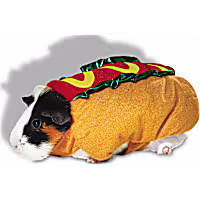 Petco Halloween Hot Dog Small Animal Costume