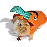 Petco Halloween Pumpkin Small Animal Costume