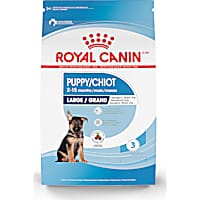 Royal Canin Size Health Nutrition Large Puppy Dry Dog Food