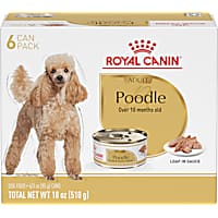 Royal Canin Breed Health Nutrition Poodle Adult Loaf in Sauce Dog Food