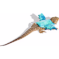 Petco Dragon Wings Bearded Dragon Pet Halloween Costume