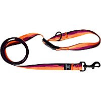 Hamilton Go Boldly Land & Sea Padded Multi-Function Dog Leash