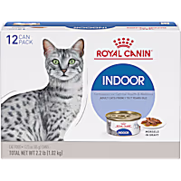 Royal Canin Feline Health Nutrition Indoor Adult Morsels in Gravy Cat Food