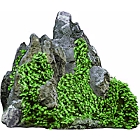 Penn Plax Aqua-Floras Aquarium Living Resin Decoration with Embedded Glosso Plant Seeds