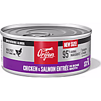 ORIJEN Chicken + Salmon Entree in Bone Broth Kitten Recipe Wet Cat Food