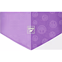 Canada Pooch Chill Seeker Cooling Bandana for Dogs