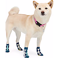 YOULY Blue Argyle Dog Socks