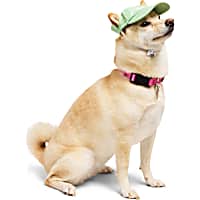 YOULY Star & Moon Pet Hat