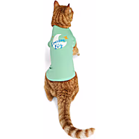 YOULY Dream Big Cat T-Shirt