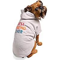 YOULY Best Friend Ever Pet Hoodie