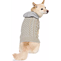 Reddy Reflective Hooded Pet Sweater