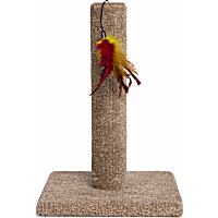 EveryYay Carpeted Cat Scratch Post with Feather Toy