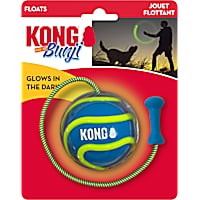 KONG Bunji High-Viz Ball Assorted Dog Toy