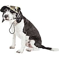 Pet Life 'Torrential Downfour' Camouflage Uv Protectant Adjustable Fashion Dog Hat Cap