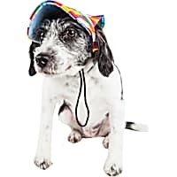 Pet Life 'Colorfur' Floral Uv Protectant Adjustable Fashion Dog Hat Cap