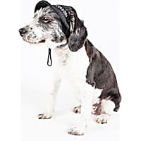 Pet Life 'Sea Spot Sun' UV Protectant Adjustable Fashion Mesh Brimmed Dog Hat Cap