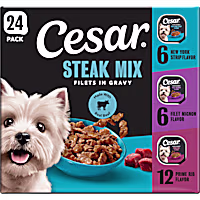 Cesar Filets in Gravy Adult Wet Dog Food Variety Flavors