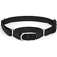 PetSafe Martingale Dog Collar with Quick-Snap Buckle