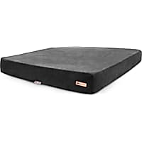 Barker Beds Sleek for Dogs