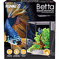 Fluval 20L Betta Aquarium Kit