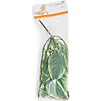 Imagitarium Plant with Suction Cup Terrarium Decor