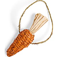 EveryYay Carrot-Shaped Small Animal Hay Chew Toy