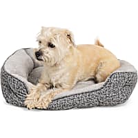 EveryYay Snooze Fest Grey Rectangle Nester Box Dog Bed