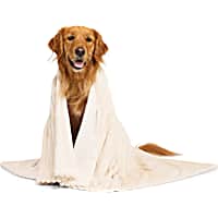 EveryYay Ribbed Plush Pet Throw for Dogs