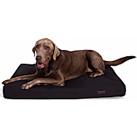 Reddy Durable Gusset Dog Bed