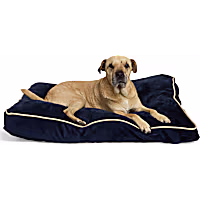 EveryYay Essentials Rectangle Lounger Dog Bed
