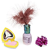 Leaps & Bounds Makeup 3-Piece Cat Toy Set