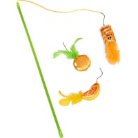 Leaps & Bounds Orange Teaser Cat Toy