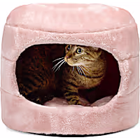 EveryYay Honeycomb 2-in-1 Convertible Cat Bed
