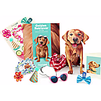 Freshcut Paper Golden Retreiver Pop-Up Greeting Card