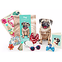 Freshcut Paper Pug Pop-Up Greeting Card