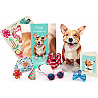 Freshcut Paper Corgi Pop-Up Greeting Card